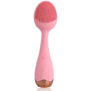 Sonic Facial Brush