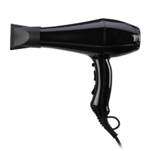 Ionic Hair Dryer