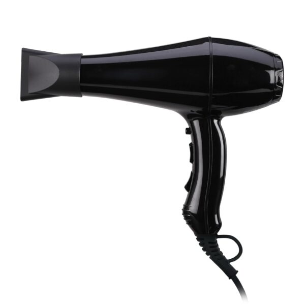 Ionic Hair Dryer