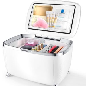 All-in-One Beauty Fridge